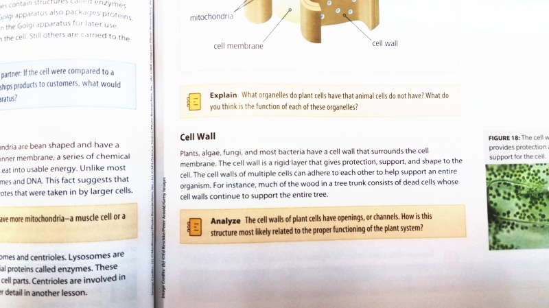 Science Dimensions Biology